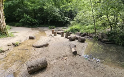 Etude hydrologique du ruisseau de Sérillan – Domaine de la Burthe – FLOIRAC (33)